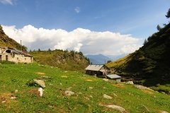 IMG_0140