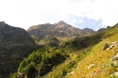 IMG_0149