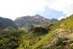 IMG_0157