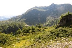 IMG_0166
