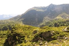 IMG_0171