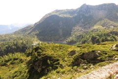 IMG_0176