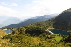 IMG_0195
