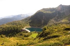 IMG_0201