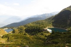 IMG_0216