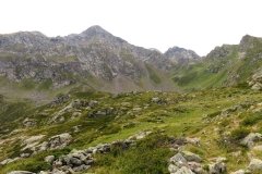 IMG_0251