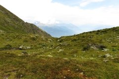 IMG_0284