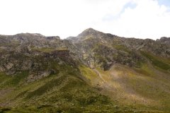 IMG_0294