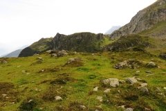 IMG_0296