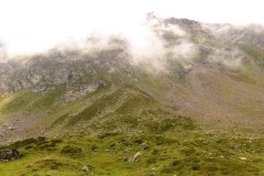 IMG_0349