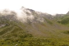 IMG_0350