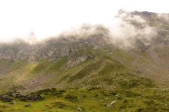 IMG_0351