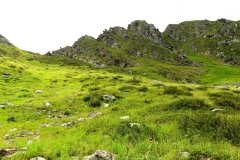 IMG_0420
