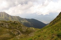 IMG_0442