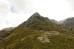 IMG_0443