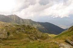 IMG_0452