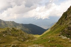 IMG_0454