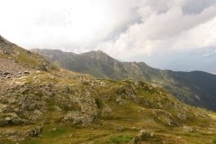 IMG_0456