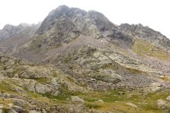 IMG_0459