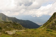 IMG_0469