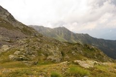 IMG_0471