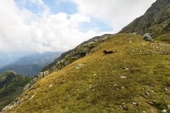 IMG_0491