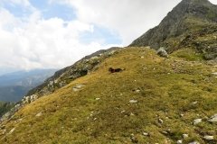IMG_0493