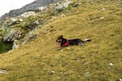 IMG_0501