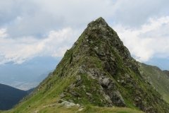IMG_0513