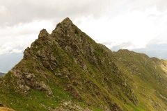 IMG_0523