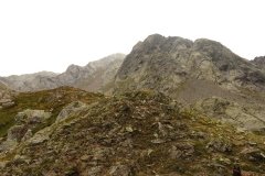 IMG_0527