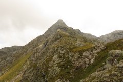 IMG_0530