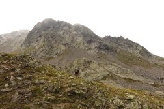 IMG_0531