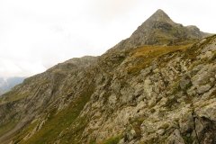 IMG_0560