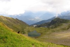 IMG_0568