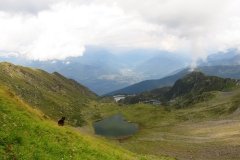 IMG_0569