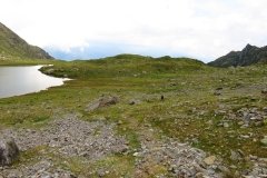 IMG_0598