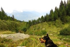IMG_0657