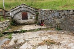 IMG_0681