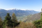 IMG_0002