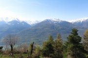 IMG_0003