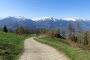 IMG_0005