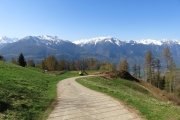 IMG_0008
