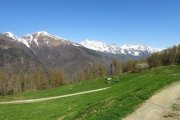 IMG_0010