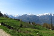 IMG_0011