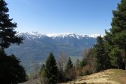 IMG_0021