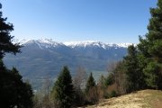 IMG_0023