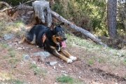 IMG_0032