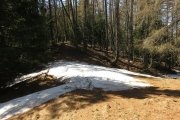 IMG_0038