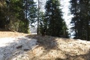 IMG_0042